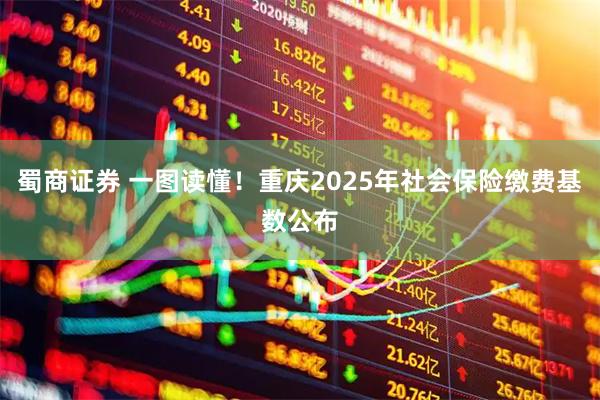 蜀商证券 一图读懂！重庆2025年社会保险缴费基数公布