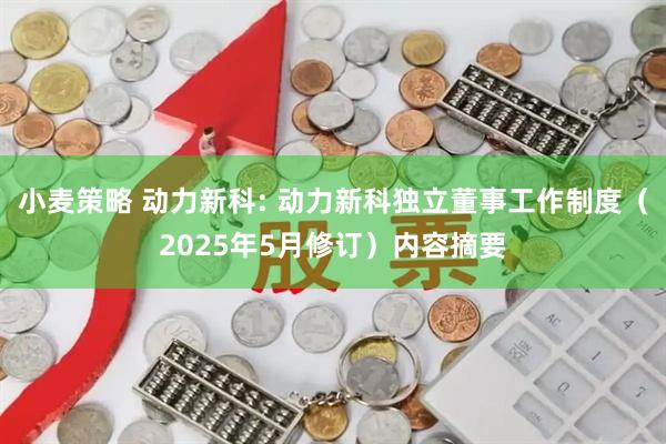 小麦策略 动力新科: 动力新科独立董事工作制度（2025年5月修订）内容摘要
