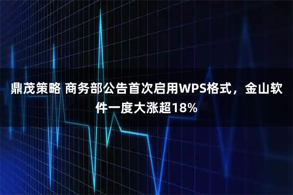 鼎茂策略 商务部公告首次启用WPS格式，金山软件一度大涨超18%