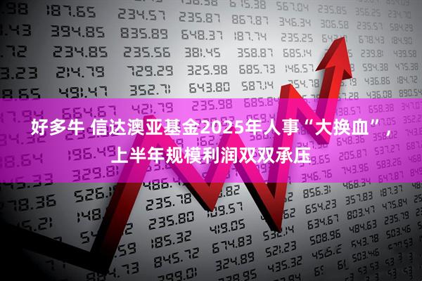 好多牛 信达澳亚基金2025年人事“大换血”，上半年规模利润双双承压
