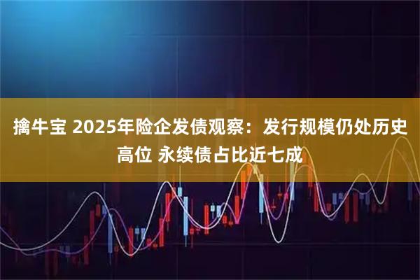 擒牛宝 2025年险企发债观察：发行规模仍处历史高位 永续债占比近七成
