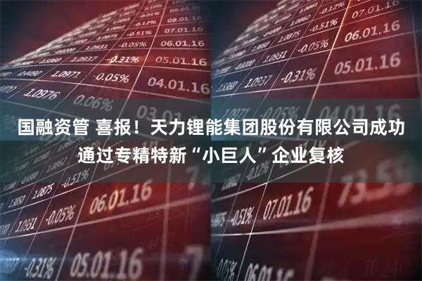 国融资管 喜报！天力锂能集团股份有限公司成功通过专精特新“小巨人”企业复核