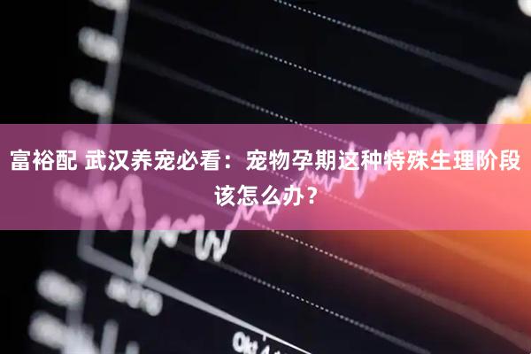 富裕配 武汉养宠必看：宠物孕期这种特殊生理阶段该怎么办？