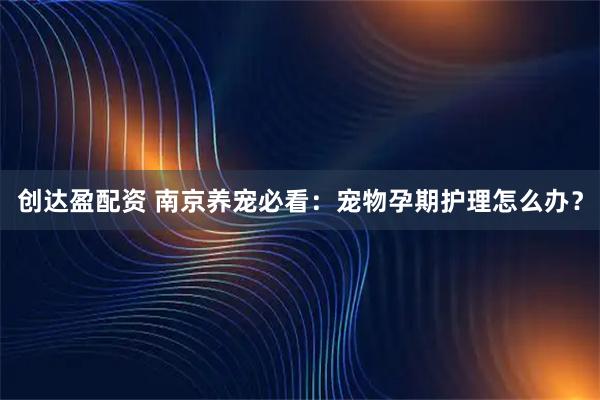 创达盈配资 南京养宠必看:宠物孕期护理怎么办?