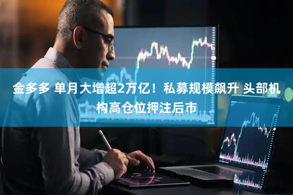 金多多 单月大增超2万亿！私募规模飙升 头部机构高仓位押注后市